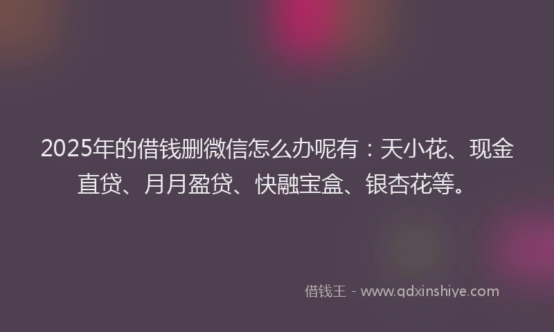 2025年的借钱删微信怎么办呢有：天小花、现金直贷、月月盈贷、快融宝盒、银杏花等。