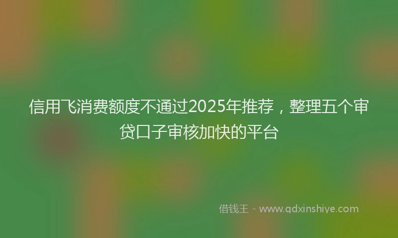 信用飞消费额度不通过2025年推荐，整理五个审贷口子审核加快的平台