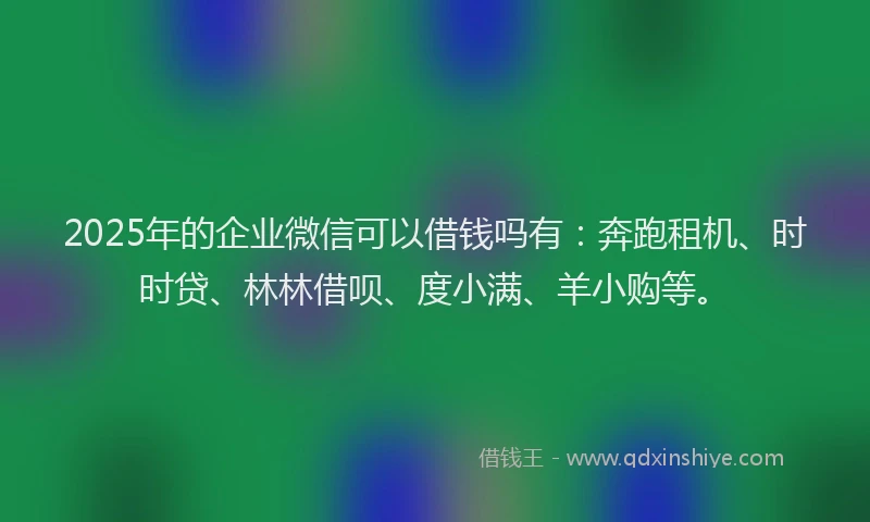 2025年的企业微信可以借钱吗有：奔跑租机、时时贷、林林借呗、度小满、羊小购等。