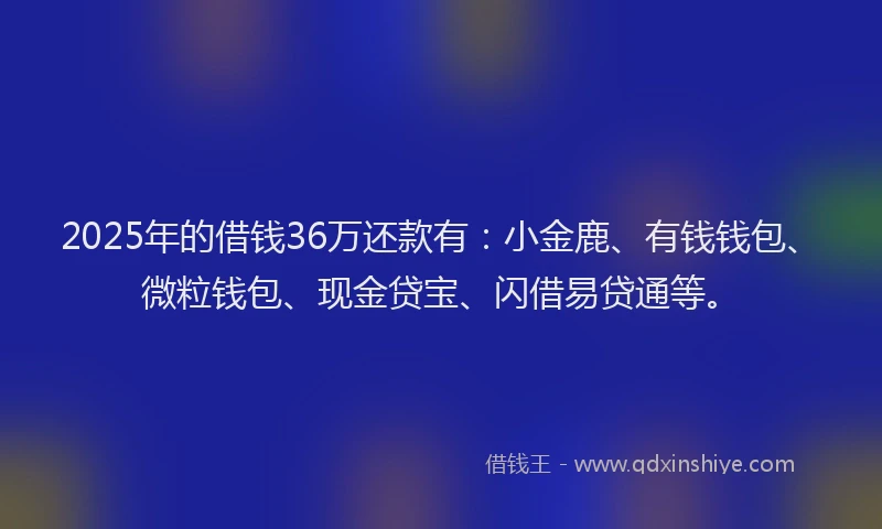 2025年的借钱36万还款有：小金鹿、有钱钱包、微粒钱包、现金贷宝、闪借易贷通等。