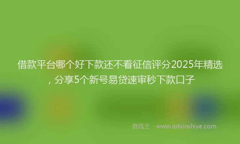 借款平台哪个好下款还不看征信评分2025年精选，分享5个新号易贷速审秒下款口子