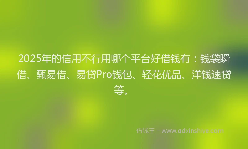 2025年的信用不行用哪个平台好借钱有：钱袋瞬借、甄易借、易贷Pro钱包、轻花优品、洋钱速贷等。