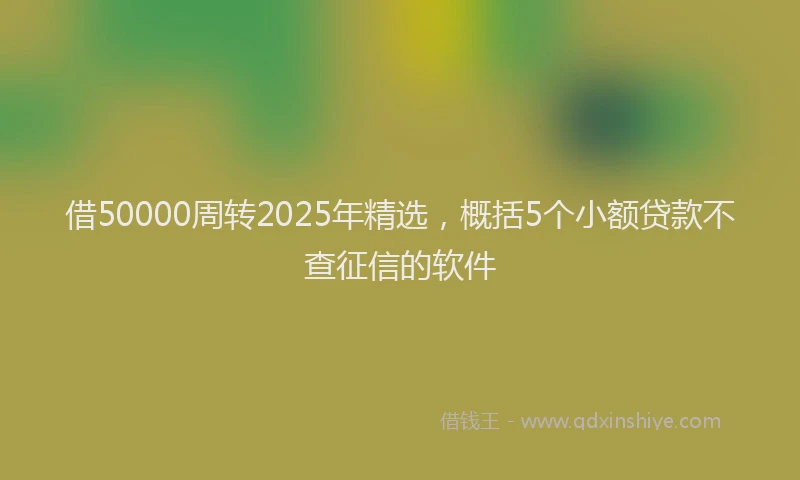 借50000周转2025年精选，概括5个小额贷款不查征信的软件