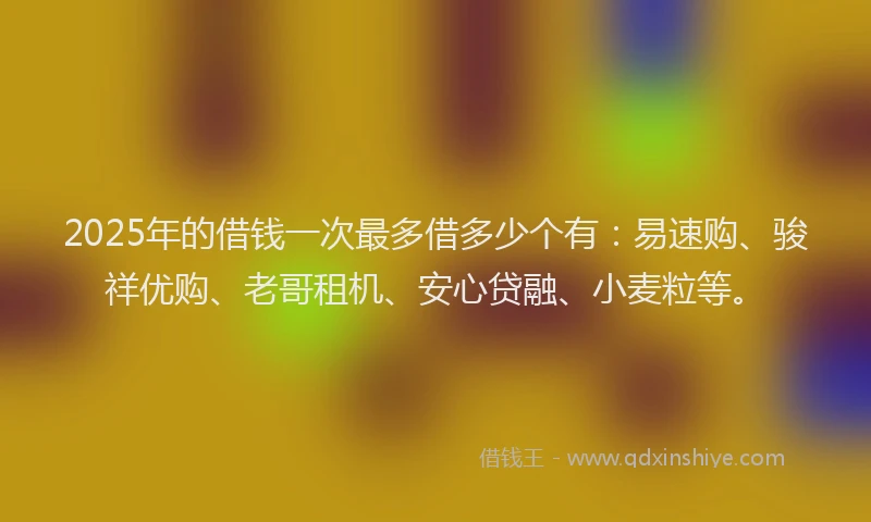 2025年的借钱一次最多借多少个有：易速购、骏祥优购、老哥租机、安心贷融、小麦粒等。