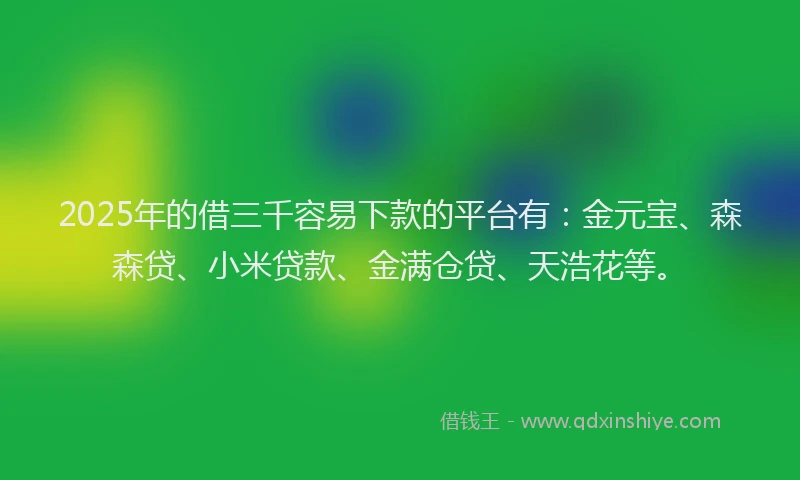 2025年的借三千容易下款的平台有：金元宝、森森贷、小米贷款、金满仓贷、天浩花等。