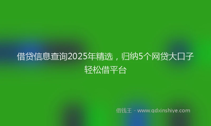 借贷信息查询2025年精选，归纳5个网贷大口子轻松借平台