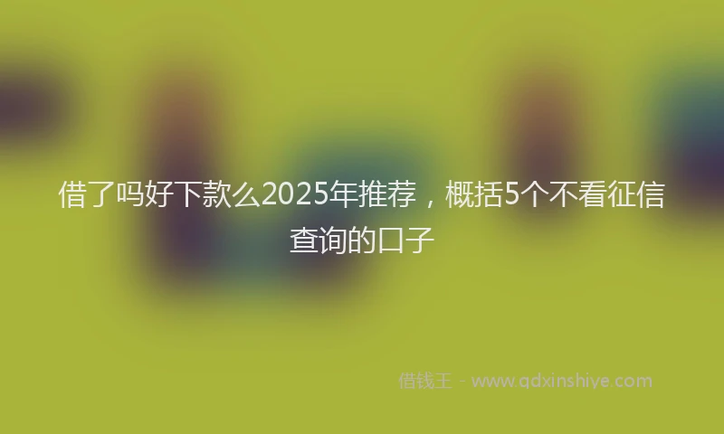 借了吗好下款么2025年推荐，概括5个不看征信查询的口子