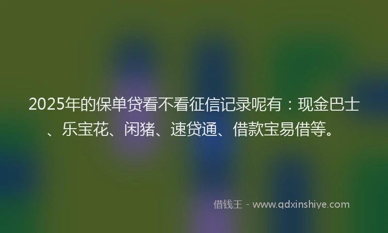 2025年的保单贷看不看征信记录呢有：现金巴士、乐宝花、闲猪、速贷通、借款宝易借等。