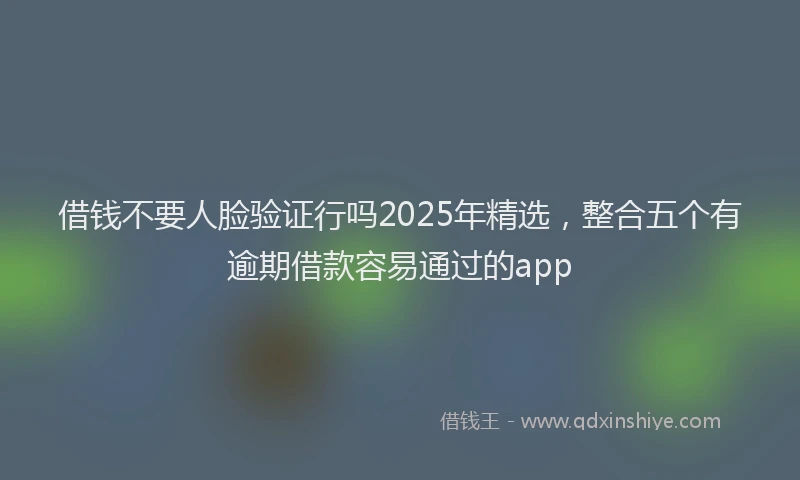 借钱不要人脸验证行吗2025年精选，整合五个有逾期借款容易通过的app