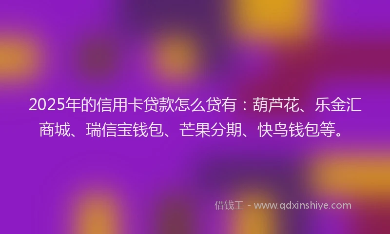 2025年的信用卡贷款怎么贷有：葫芦花、乐金汇商城、瑞信宝钱包、芒果分期、快鸟钱包等。