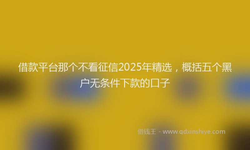 借款平台那个不看征信2025年精选，概括五个黑户无条件下款的口子