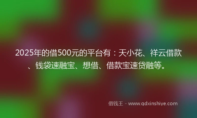 2025年的借500元的平台有：天小花、祥云借款、钱袋速融宝、想借、借款宝速贷融等。