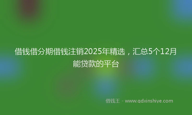 借钱借分期借钱注销2025年精选，汇总5个12月能贷款的平台