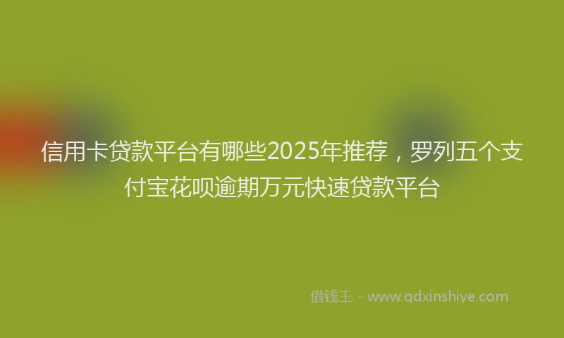 信用卡贷款平台有哪些2025年推荐，罗列五个支付宝花呗逾期万元快速贷款平台
