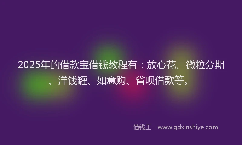 2025年的借款宝借钱教程有：放心花、微粒分期、洋钱罐、如意购、省呗借款等。