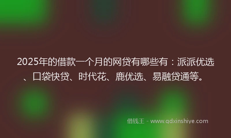 2025年的借款一个月的网贷有哪些有：派派优选、口袋快贷、时代花、鹿优选、易融贷通等。
