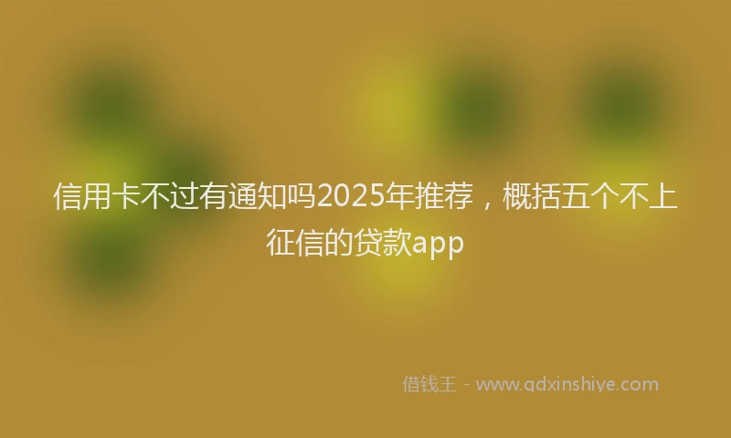 信用卡不过有通知吗2025年推荐，概括五个不上征信的贷款app