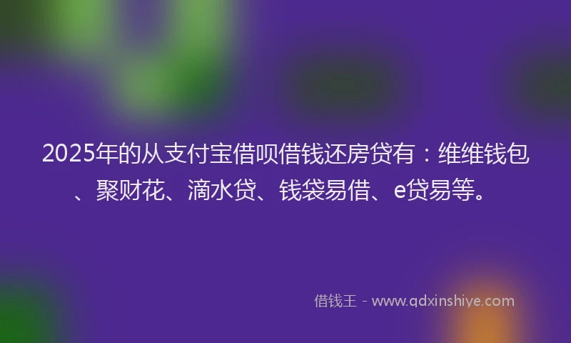2025年的从支付宝借呗借钱还房贷有：维维钱包、聚财花、滴水贷、钱袋易借、e贷易等。