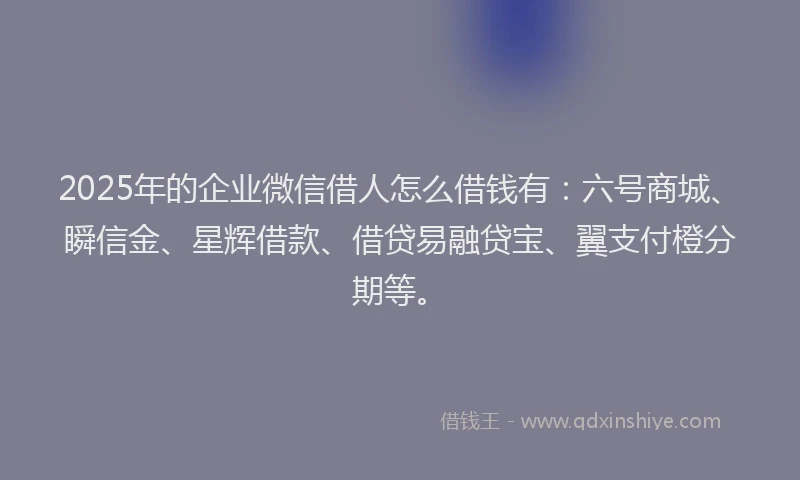 2025年的企业微信借人怎么借钱有：六号商城、瞬信金、星辉借款、借贷易融贷宝、翼支付橙分期等。