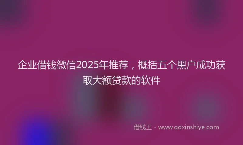 企业借钱微信2025年推荐，概括五个黑户成功获取大额贷款的软件
