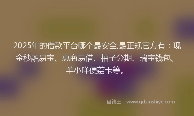 2025年的借款平台哪个最安全,最正规官方有：现金秒融易宝、惠商易借、柚子分期、瑞宝钱包、羊小咩便荔卡等。