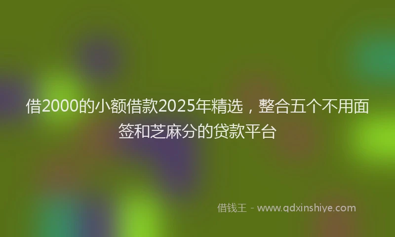 借2000的小额借款2025年精选，整合五个不用面签和芝麻分的贷款平台