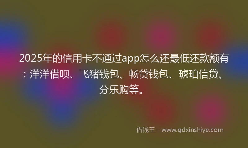2025年的信用卡不通过app怎么还最低还款额有：洋洋借呗、飞猪钱包、畅贷钱包、琥珀信贷、分乐购等。