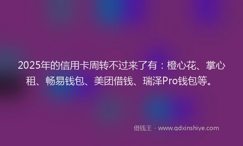 2025年的信用卡周转不过来了有：橙心花、掌心租、畅易钱包、美团借钱、瑞泽Pro钱包等。