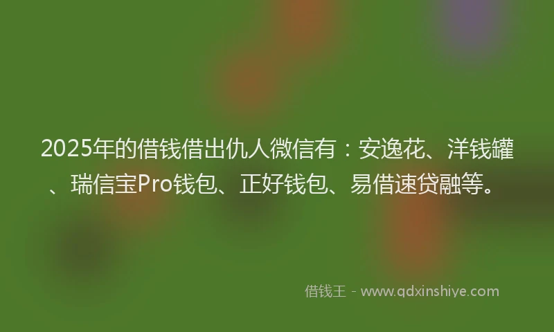 2025年的借钱借出仇人微信有：安逸花、洋钱罐、瑞信宝Pro钱包、正好钱包、易借速贷融等。