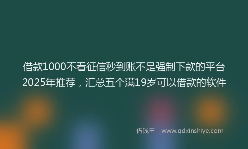 借款1000不看征信秒到账不是强制下款的平台2025年推荐，汇总五个满19岁可以借款的软件