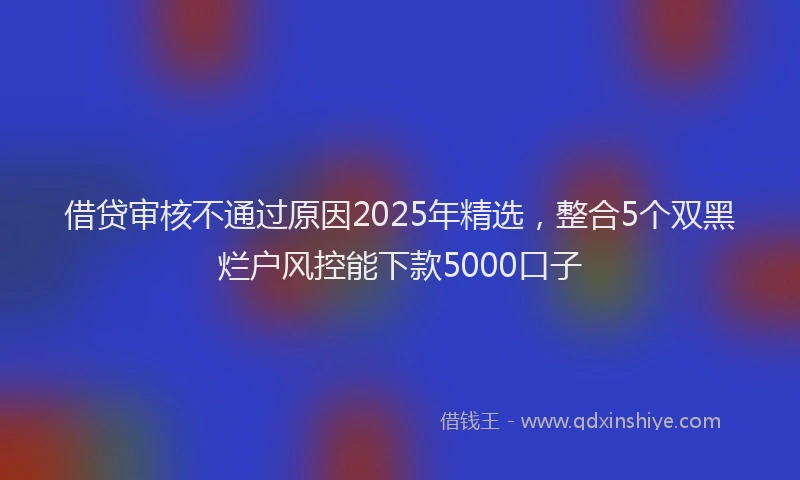 借贷审核不通过原因2025年精选，整合5个双黑烂户风控能下款5000口子