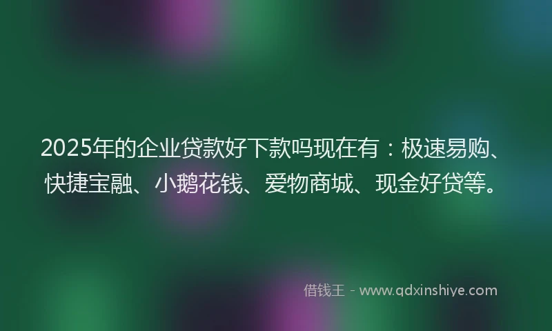 2025年的企业贷款好下款吗现在有：极速易购、快捷宝融、小鹅花钱、爱物商城、现金好贷等。