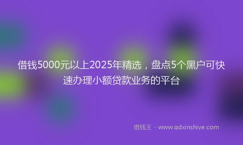 借钱5000元以上2025年精选，盘点5个黑户可快速办理小额贷款业务的平台