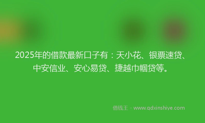 2025年的借款最新口子有：天小花、银票速贷、中安信业、安心易贷、捷越巾帼贷等。