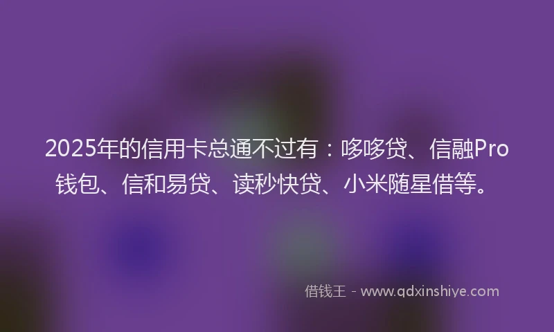 2025年的信用卡总通不过有：哆哆贷、信融Pro钱包、信和易贷、读秒快贷、小米随星借等。