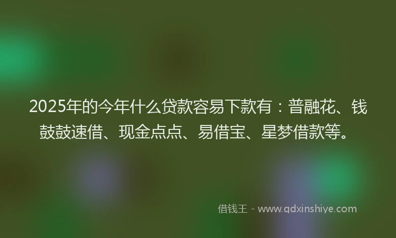 2025年的今年什么贷款容易下款有：普融花、钱鼓鼓速借、现金点点、易借宝、星梦借款等。