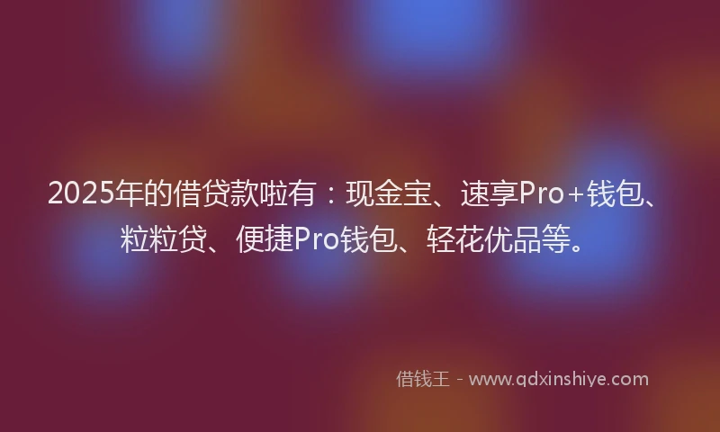 2025年的借贷款啦有：现金宝、速享Pro+钱包、粒粒贷、便捷Pro钱包、轻花优品等。