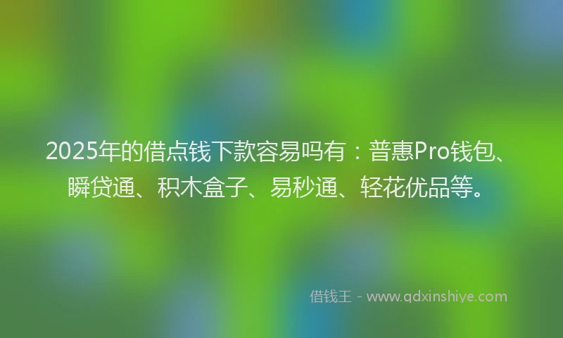 2025年的借点钱下款容易吗有：普惠Pro钱包、瞬贷通、积木盒子、易秒通、轻花优品等。