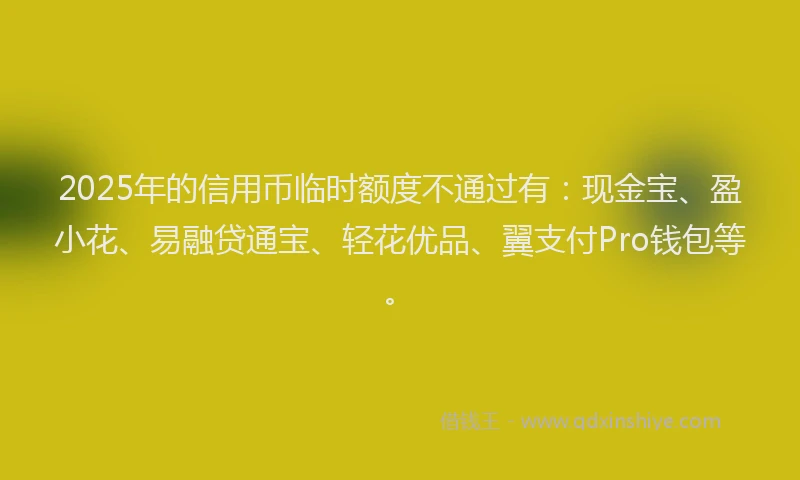 2025年的信用币临时额度不通过有：现金宝、盈小花、易融贷通宝、轻花优品、翼支付Pro钱包等。