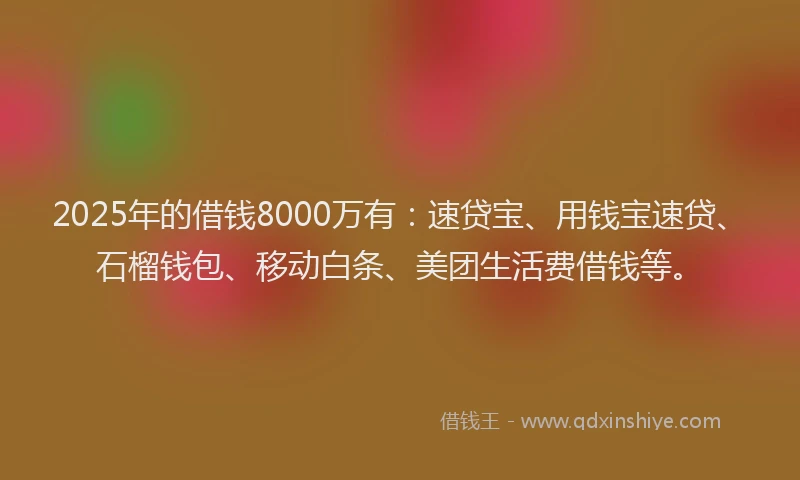 2025年的借钱8000万有：速贷宝、用钱宝速贷、石榴钱包、移动白条、美团生活费借钱等。