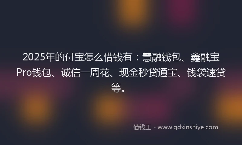 2025年的付宝怎么借钱有：慧融钱包、鑫融宝Pro钱包、诚信一周花、现金秒贷通宝、钱袋速贷等。