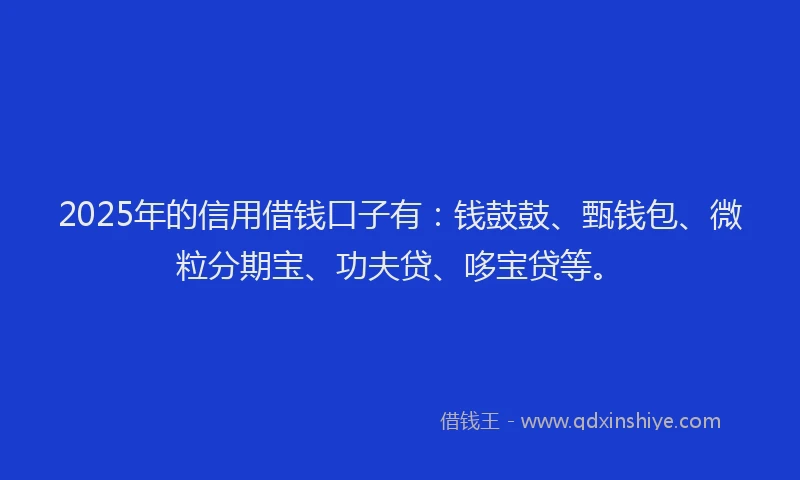 2025年的信用借钱口子有：钱鼓鼓、甄钱包、微粒分期宝、功夫贷、哆宝贷等。