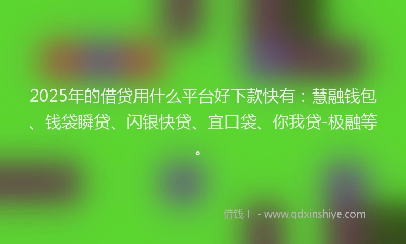 2025年的借贷用什么平台好下款快有：慧融钱包、钱袋瞬贷、闪银快贷、宜口袋、你我贷-极融等。