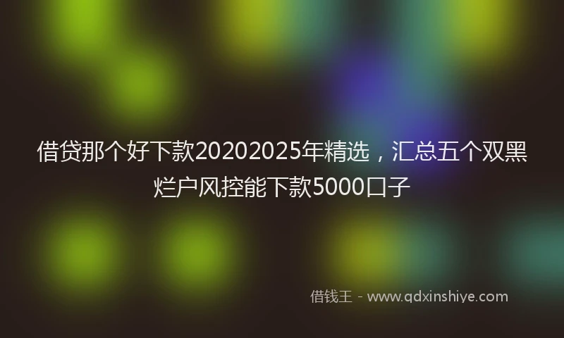 借贷那个好下款20202025年精选，汇总五个双黑烂户风控能下款5000口子