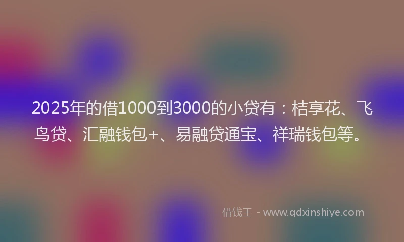 2025年的借1000到3000的小贷有：桔享花、飞鸟贷、汇融钱包+、易融贷通宝、祥瑞钱包等。