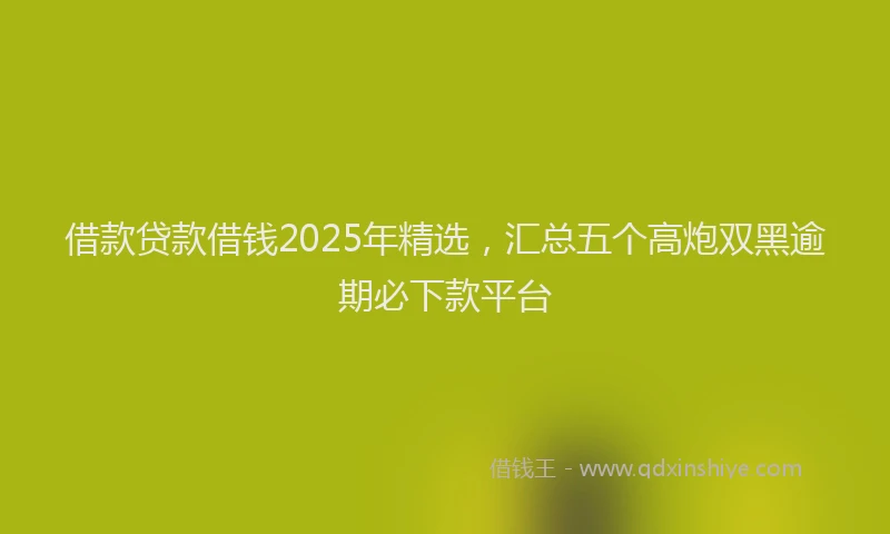 借款贷款借钱2025年精选，汇总五个高炮双黑逾期必下款平台