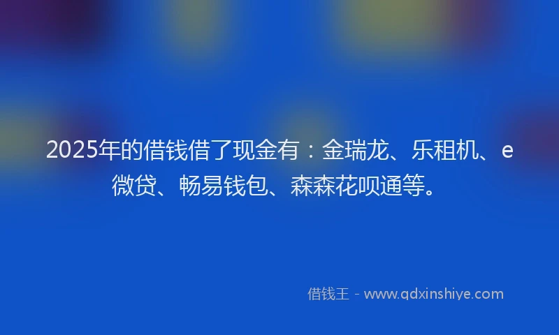 2025年的借钱借了现金有：金瑞龙、乐租机、e微贷、畅易钱包、森森花呗通等。