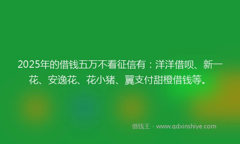 2025年的借钱五万不看征信有：洋洋借呗、新一花、安逸花、花小猪、翼支付甜橙借钱等。