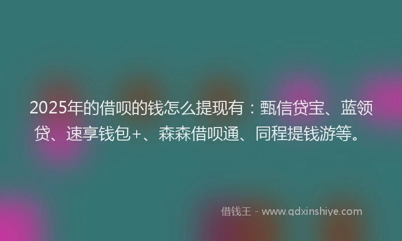 2025年的借呗的钱怎么提现有：甄信贷宝、蓝领贷、速享钱包+、森森借呗通、同程提钱游等。