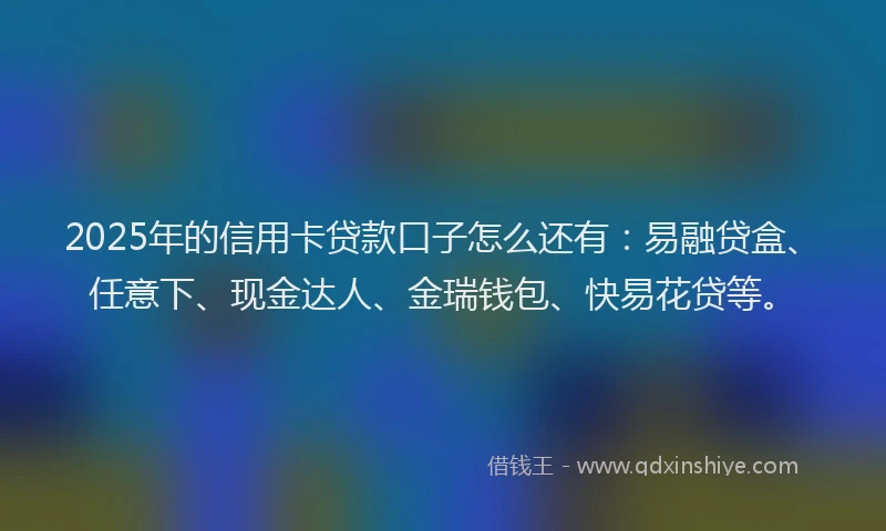 2025年的信用卡贷款口子怎么还有：易融贷盒、任意下、现金达人、金瑞钱包、快易花贷等。